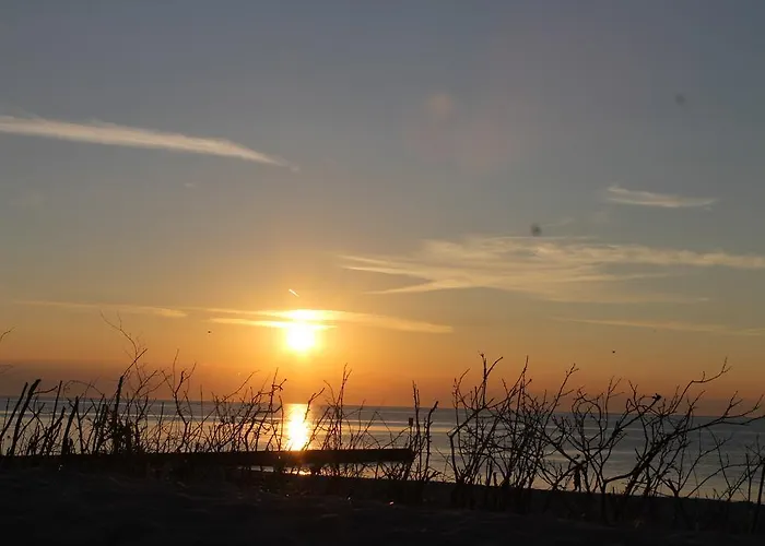 アパート Apartament Diune Sulkowskiego 4a *